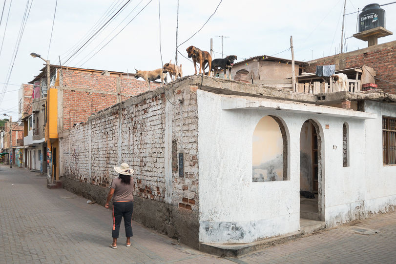 “You think dogs will not be in heaven? I tell you, they will be there long before any of us.?” 
― Robert Louis Stevenson