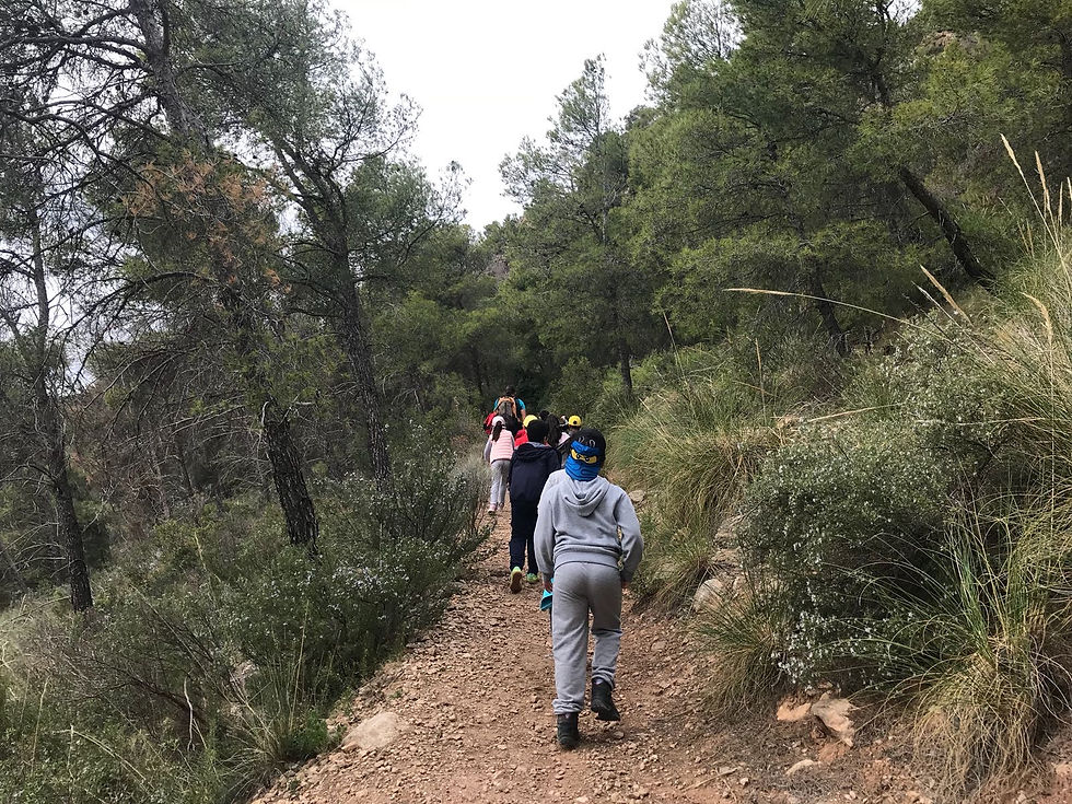 SIERRA ESPUÑA 3º - 4º