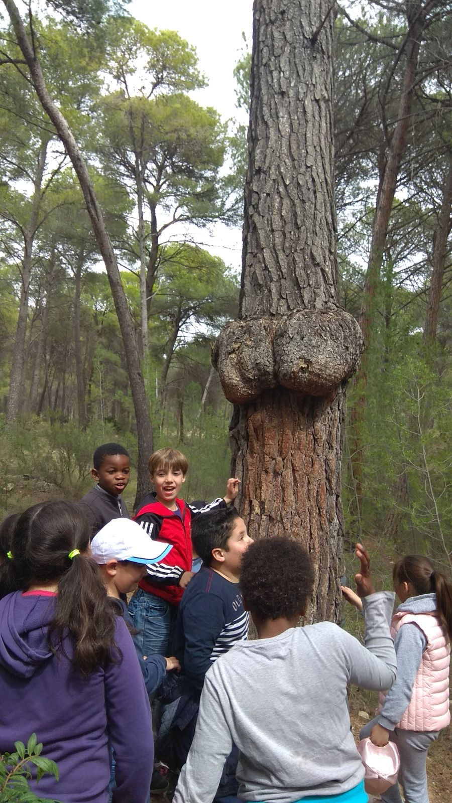 SIERRA ESPUÑA 3º - 4º