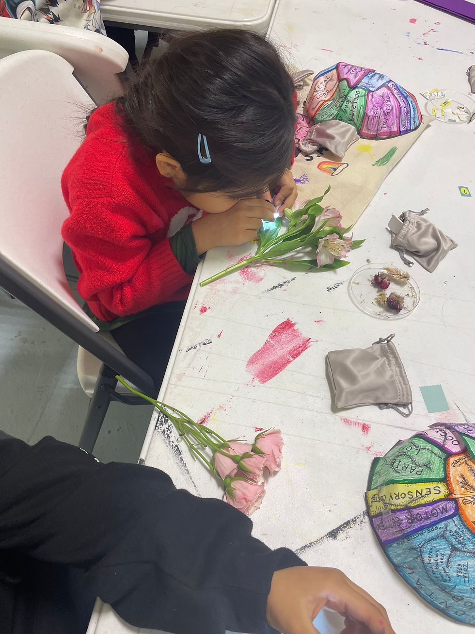 Brain caps and exploring with their pocket microscopes.