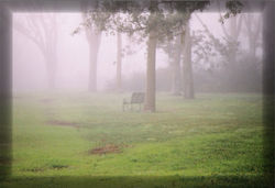 foggy bench bok tower 2.jpg