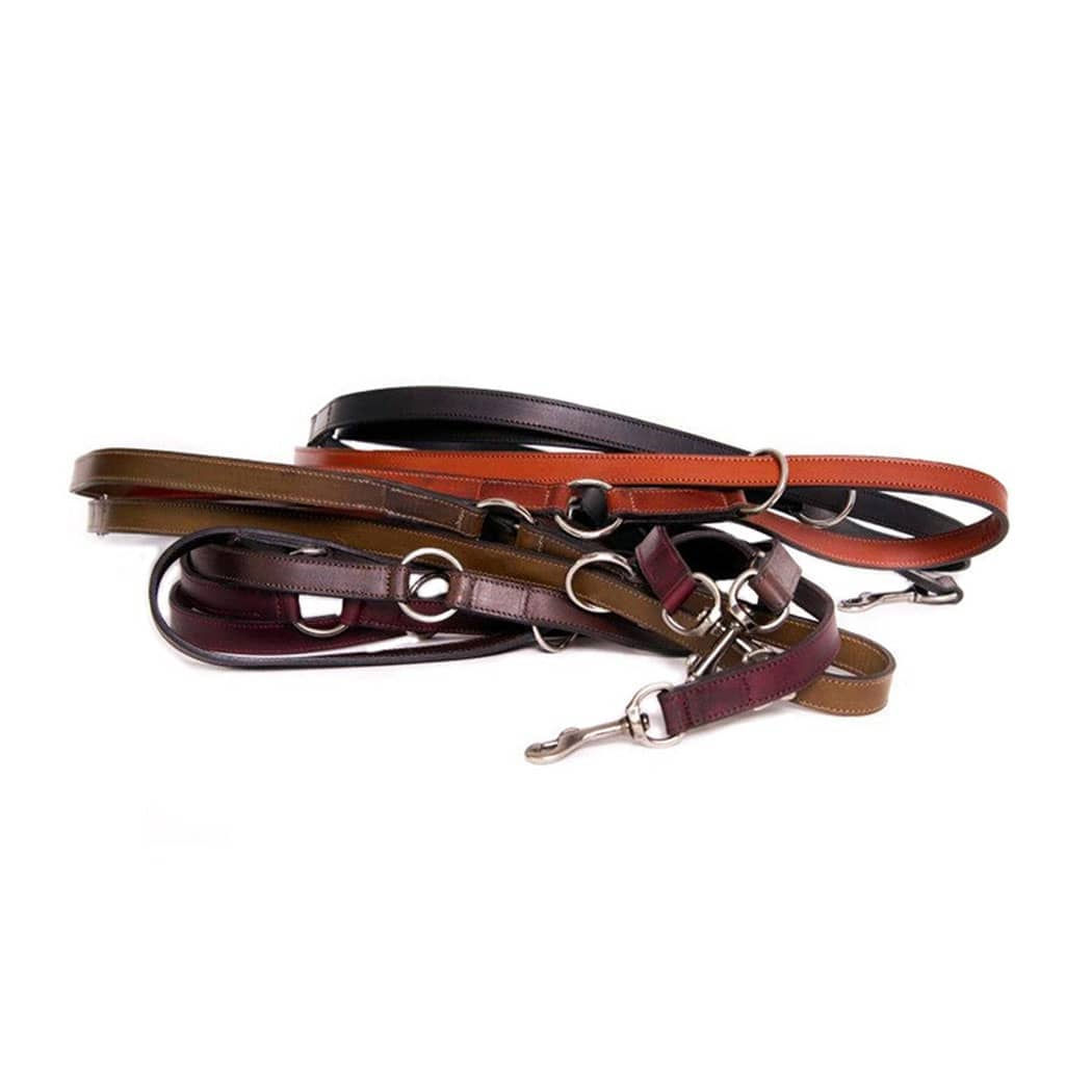 DUTCHIZ | VERSTELLBARE LANGLEINE