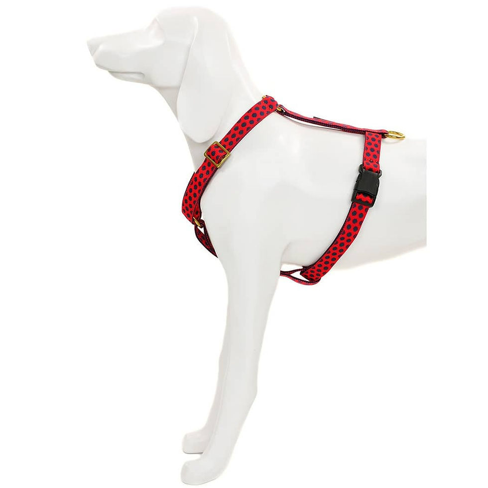 GESCHIRR "DOTS RED & BLUE"