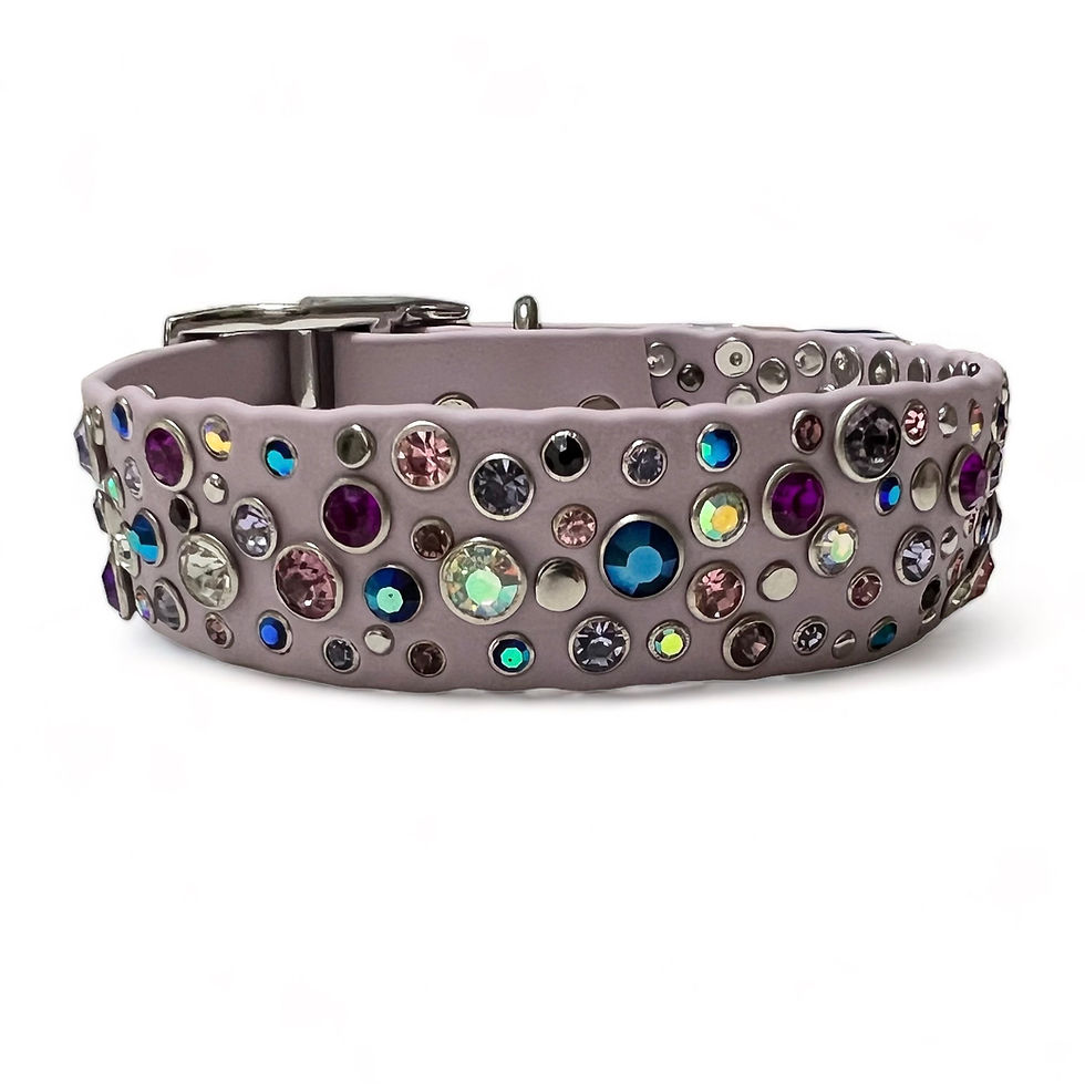 HUNDEHALSBAND L.A. BIOTHANE MIT STRASS