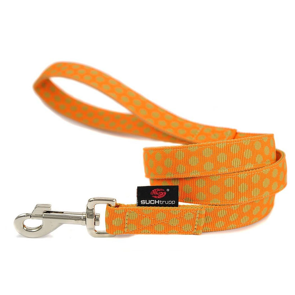 LEINE "DOTS ORANGE & BEIGE"
