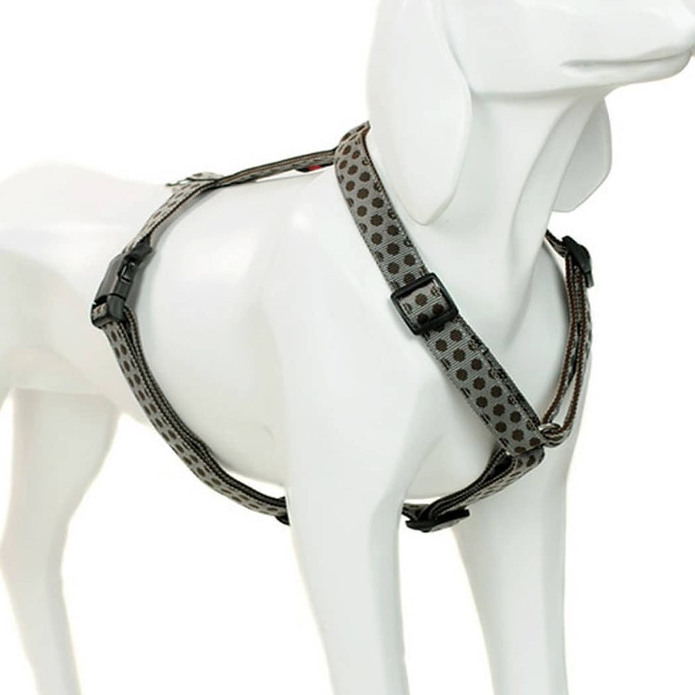 GESCHIRR "DOTS GREY & BROWN"