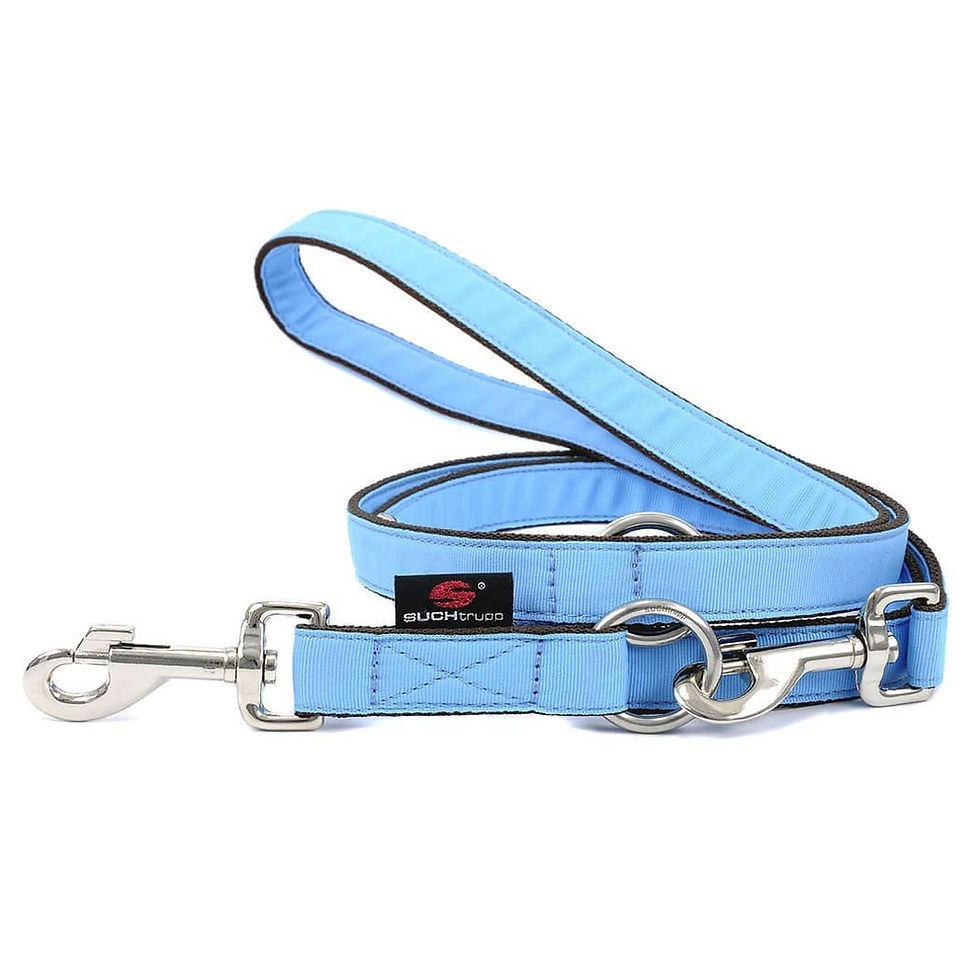 LEINE "PURE LIGHT BLUE"