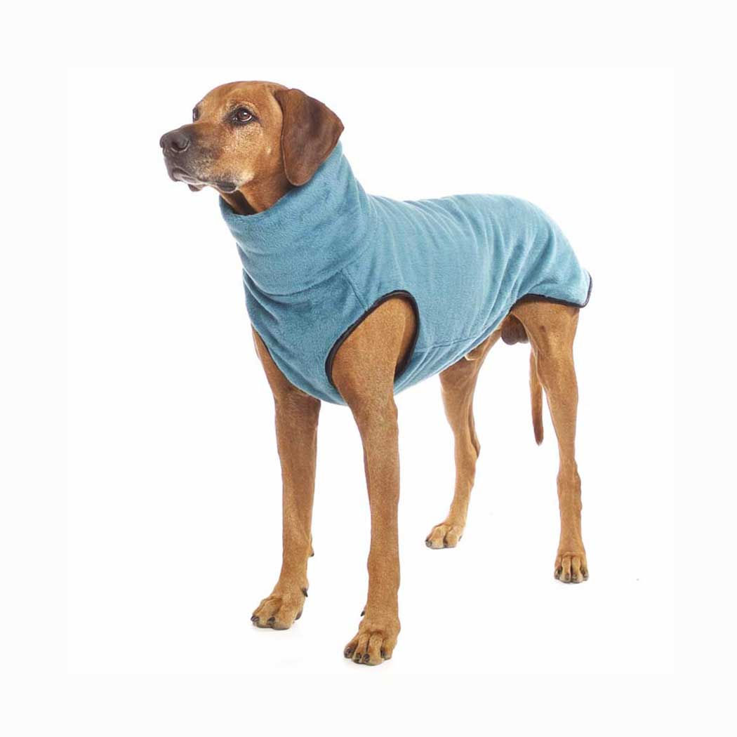 HUNDEPULLOVER HACHICO CITYPUNK TEAL S3