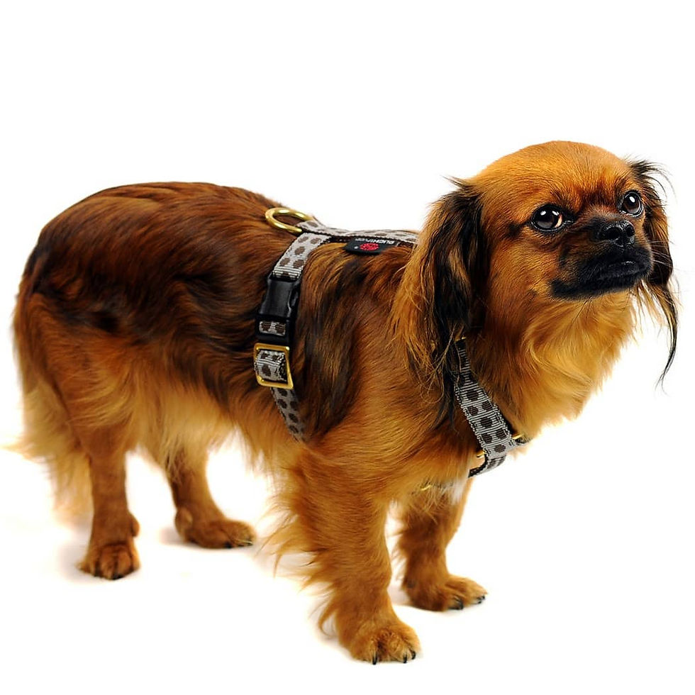 GESCHIRR "DOTS GREY & BROWN"