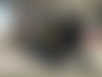 🏂【大白滑雪俱乐部】荷兰NSkiV二级双板教练考证记:从“滑雪老炮”到“硬核教头”的蜕变!