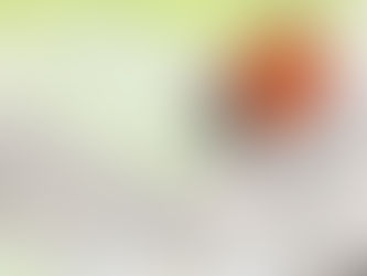 Zoning Compliance Errors and the Cost to Residents