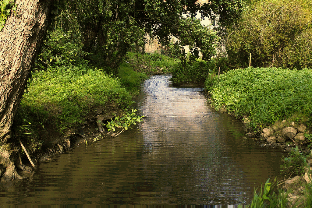 eau 01.gif