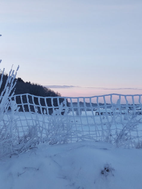 Przeprowadzka na wieś. Styczeń (miesiąc piąty). 8 krótkich historii.