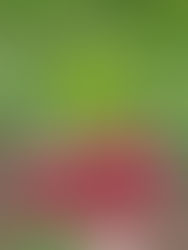 Porażki 2021, czyli czego nauczył mnie mijający sezon