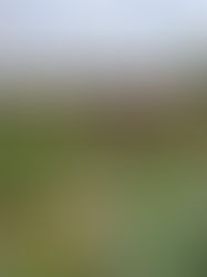 Mapa polskiej turystyki ogrodowej