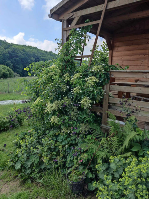 Przeprowadzka na wieś. Maj (miesiąc dziewiąty). Ogrodnik w szale pracy