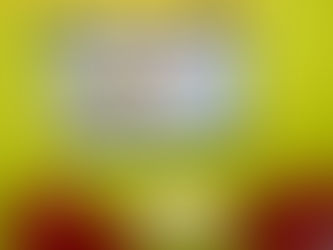 Unforgettable 2025 for Amarli & Cheers to 2026