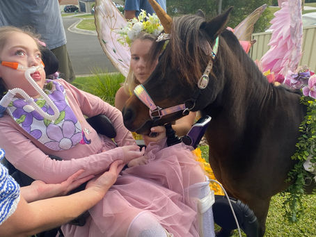 Amarli’s 8th Birthday & Update so far for 2026