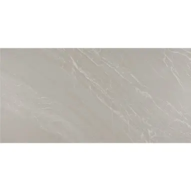 Daltile Porcelain Tile Maestro 12 in. x 24 in.
