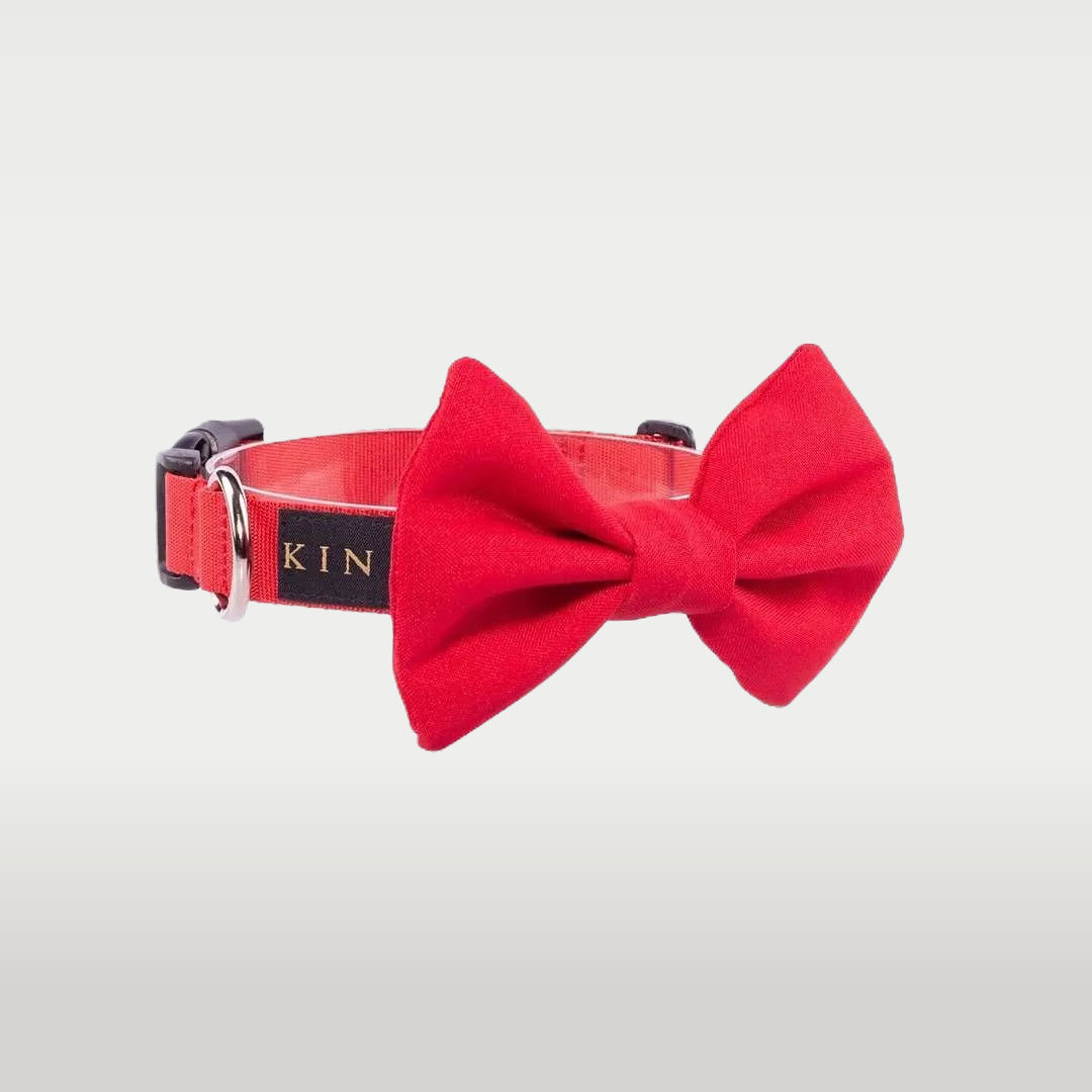 FLIEGE-HALSBAND S (2,0 cm) / ROT