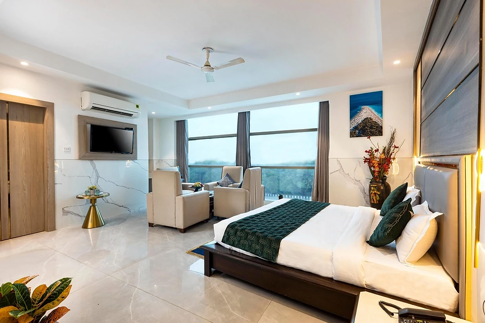 Hotel Delhi 37