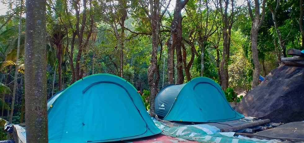 Evergreen Homestay