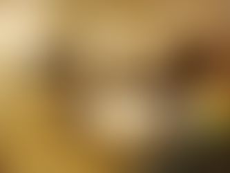 Affordable Hotels in Chandigarh: Top Picks Under a Budget