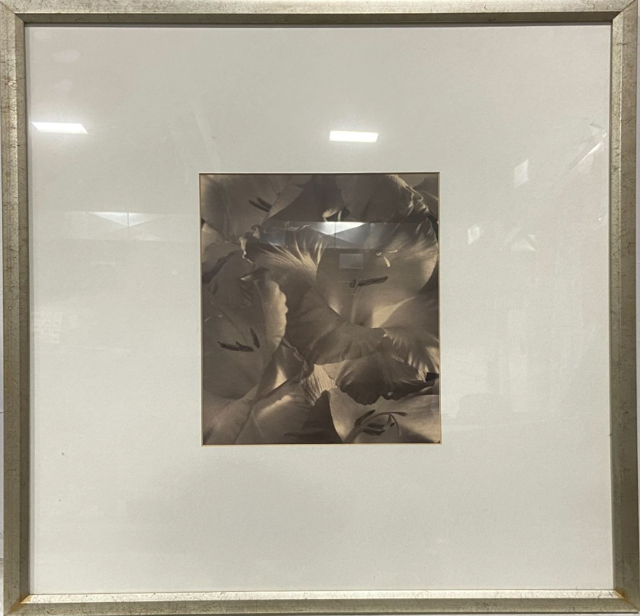 33" x 33" Framed Print under Glass