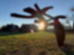 The Rising