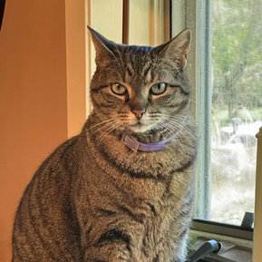 A house fire threatened Milo's life—Mission saved it