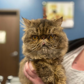 From Hospice to Healthy