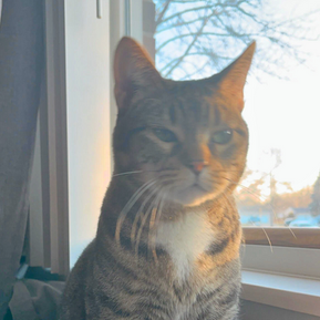 Samantha lived with hidden pain