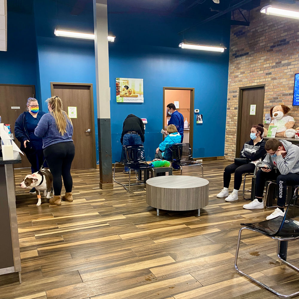 An Emotional Day at Mission Animal Hospital