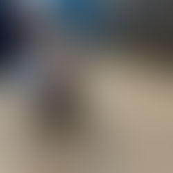 Caring for Your New Puppy