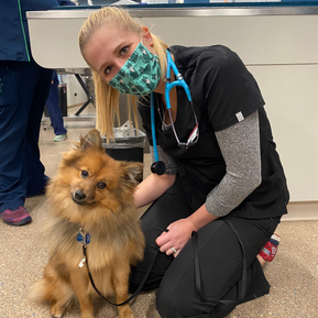 Teaching and Learning at Mission Animal Hospital