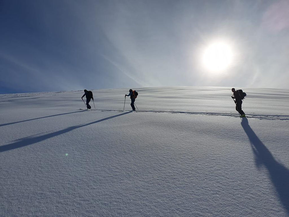 Pulver und Sonne