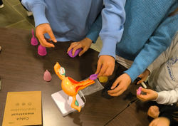 _storage_emulated_0_DCIM_Camera_IMG_20250308_185131_edited