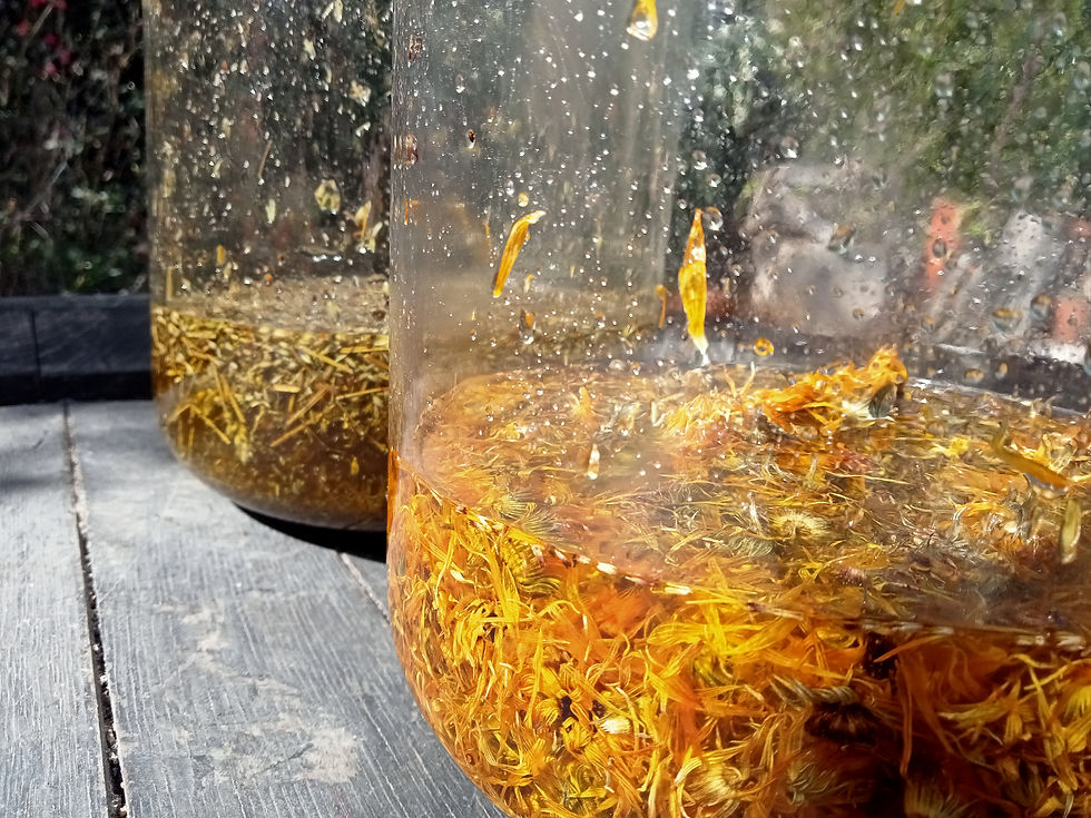 Miniature : Macérat de Calendula, peaux sèches et rugueuses