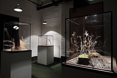 Art installation, sculpture, museum display