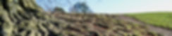 DSC_0031.jpeg