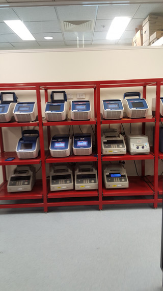 2015-07-29 14.32.12.jpg