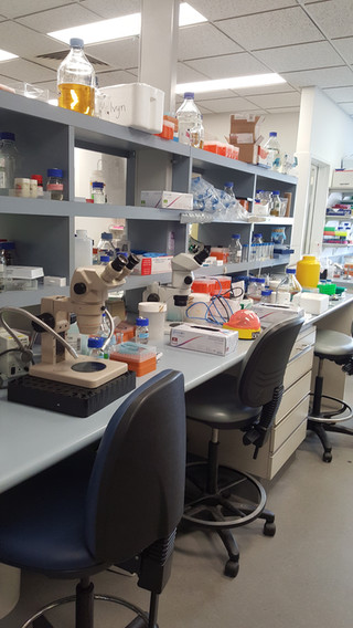 2015-07-29 15.13.12.jpg