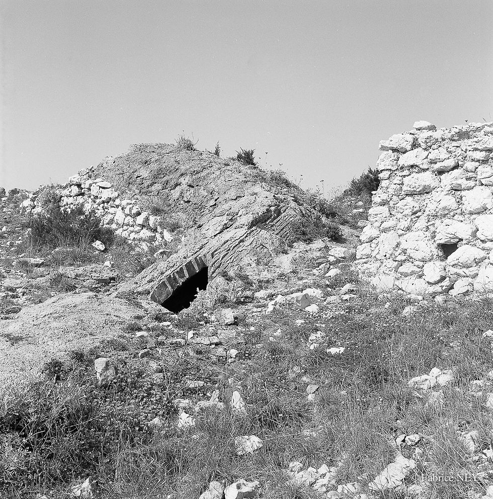 Escalette 501
