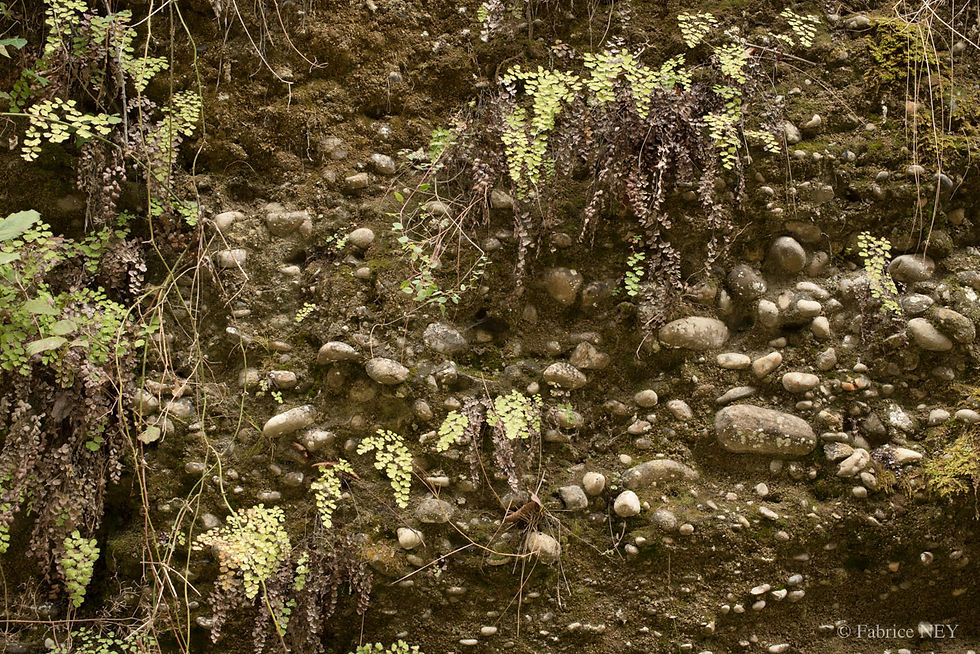 de rerum natura 23