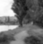 RESURGENCE -3.jpg