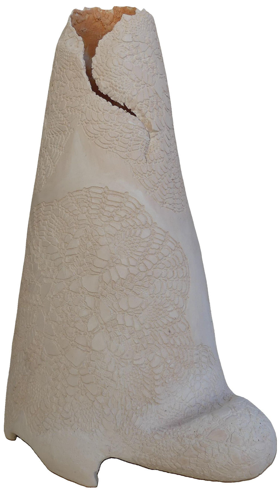 Tortue blanche haute 2