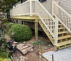 IMG_5545.jpg