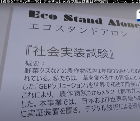 ひこばえを探しに スクショ1_edited_edited.jpg
