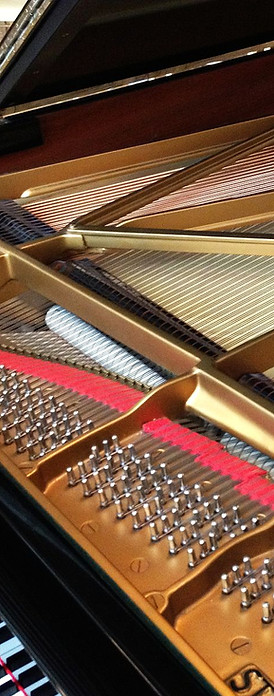 1600px-Steinway_grand_piano_interior.jpe
