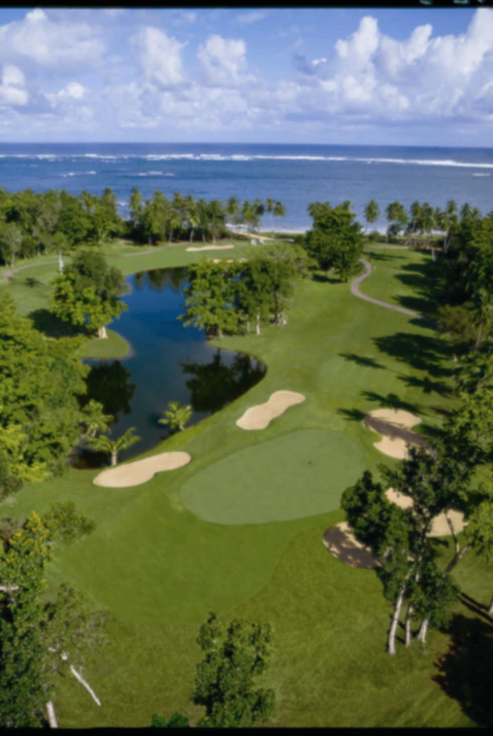 Dorado Beach (08).jpg